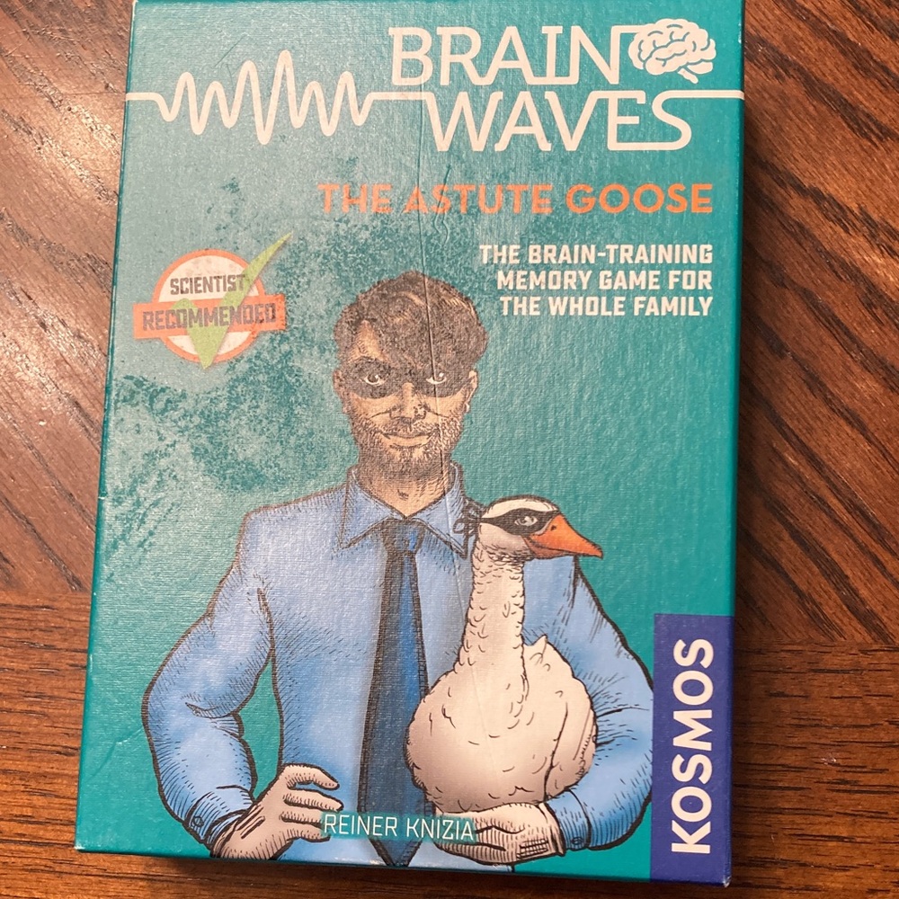 Kosmos Brainwaves The Astute Goose Memory Game